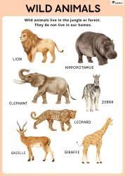 Poster: Wild Animals - EVS for Class 2 PDF Download