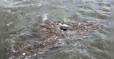 microplastics pollution in the Ganga plastic pollution | प्लास्टिक और ...