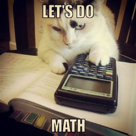 cat math » Center for Career Development | Blog Archive | Boston University