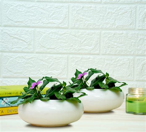 Buy Small Ceramic Pots for Desk | White Online on Brown Living | Pots ...
