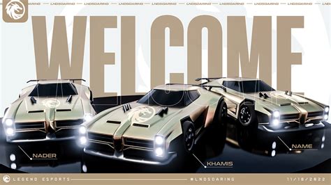 Image result for Project Legends Exp Bot