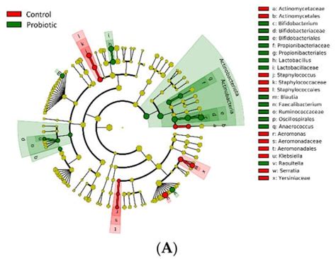 Effects of Probiotics on Gut Microbiomes of Extremely Preterm Infants ...