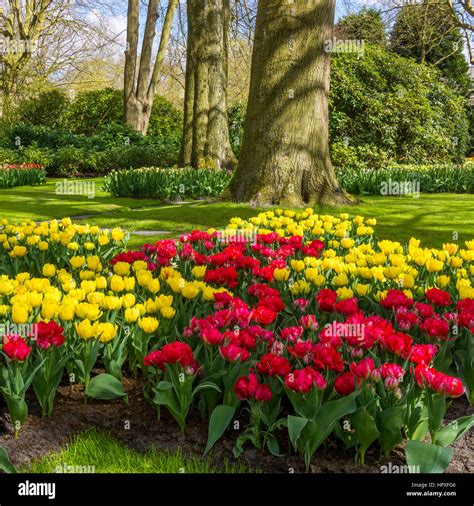 Image result for Define Spring