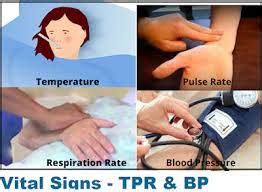 Image result for Vital Signs Explained