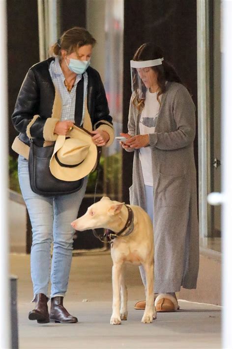 DREW BARRYMORE Comes to the Rescue of a New Yorker Whose Dog was ...