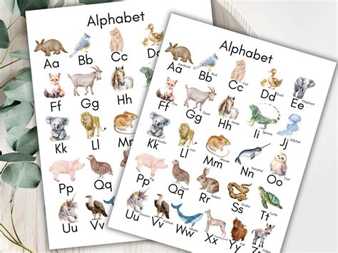Image result for ABC Animals Chart