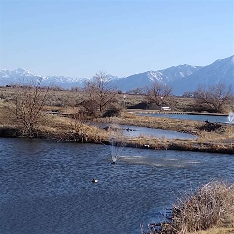 Silver City RV Resort Camping | The Dyrt