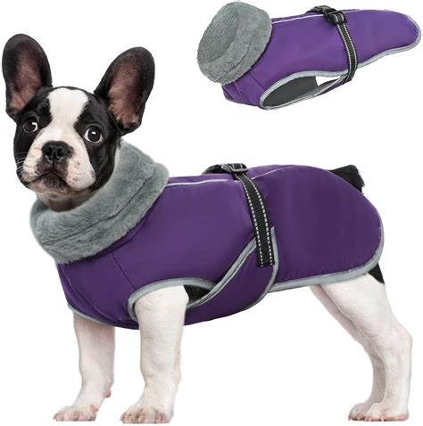 MHaustlie Dog Coat Waterproof, Winter Jacket With Safe Reflective ...