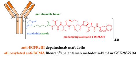 Antibody–Drug Conjugates: The Last Decade