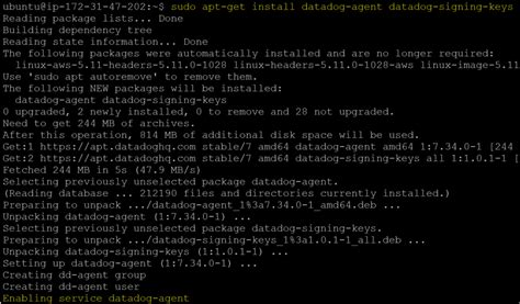 How to Use Datadog 的图像结果