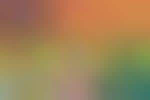 Worldwide Holiday Dinner Infographics : Traditional holiday meals ...