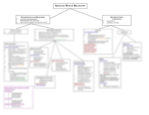 Image result for Skeletal Muscle Flow Chart