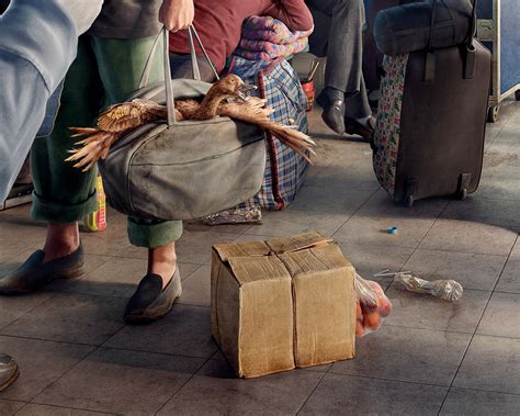 Shush Model 的图像结果