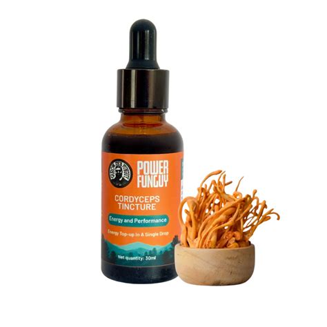 Cordyceps Dual Extract