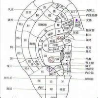 Image result for What Are Consider Computer Program