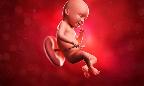 Case of In Utero Enzyme-Replacement Therapy for Infantile-Onset Pompe's ...