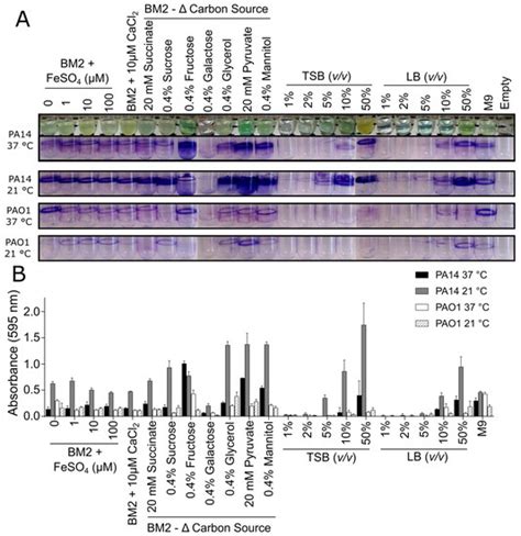 Critical Assessment of Methods to Quantify Biofilm Growth and Evaluate ...