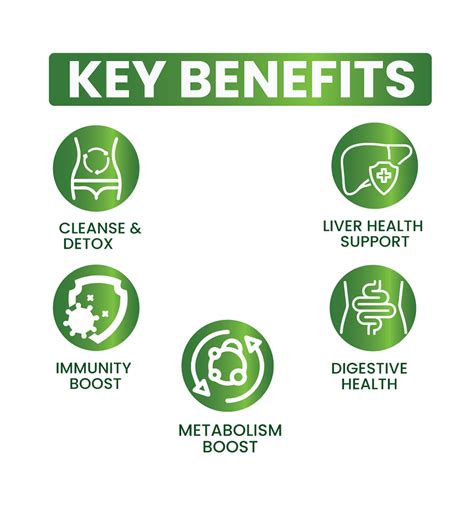 Liver Detox | Made 7+ Natural Herbs for All Liver Problems – Kayashree ...