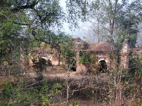 Bihar - JungleKey.in Image #50