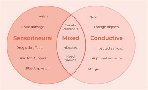 Hearing loss – Audientes India