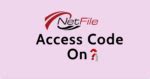 Image result for NETFILE Summary Page