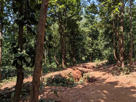 Dharagiri Falls (Ghatshila) - 2020 What to Know Before You Go (with ...