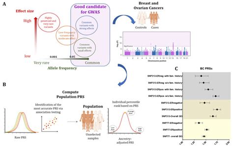 Genetic Basis of Breast and Ovarian Cancer: Approaches and Lessons ...