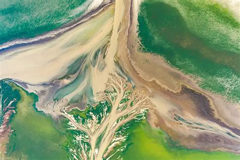 Environmental Science Map 的图像结果