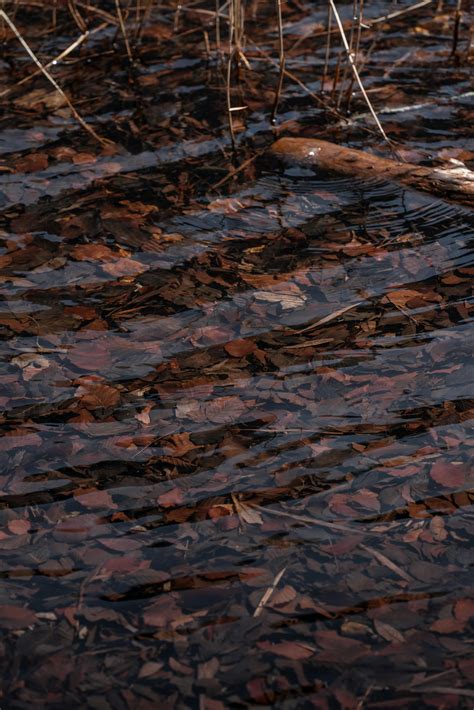 Golf Wallpaper 4K 的图像结果