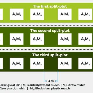 Randomized Block Design 的图像结果