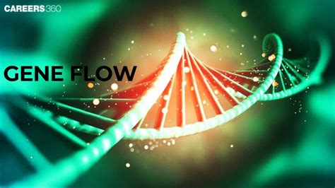 Gene Flow and Factors Affecting: Definition, Types, Examples, Process
