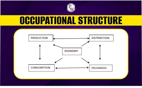 What Is Occupational Structure? Types And Factor Influencing