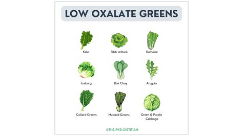 10 Of The Best Low Oxalate Greens For Polycystic Kidney Disease