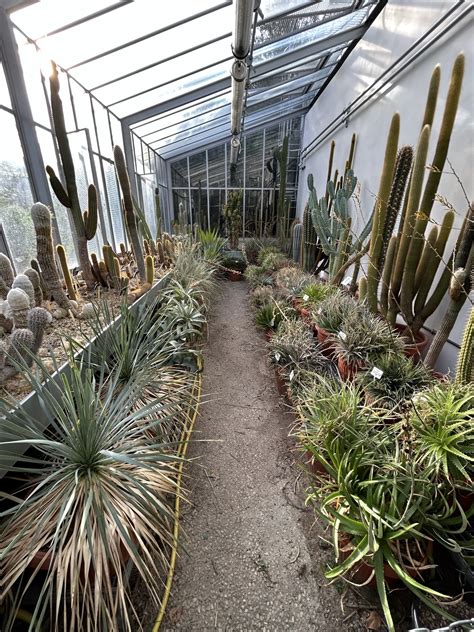 Gardens of France: Nantes - Dyck Arboretum