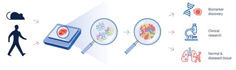 Image result for Spatial Transcriptomics Methods