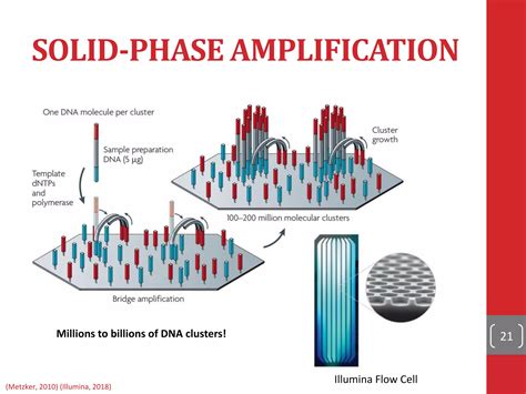 Next Generation Sequencing Introduction 的图像结果