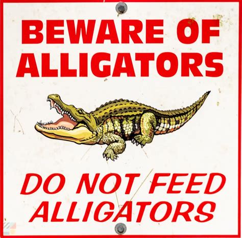 Sunset Beach Park - WrightsvilleBeach.com