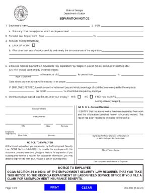 GA DOL-800 2024-2026 - Fill and Sign Printable Template Online