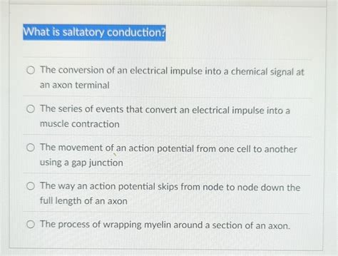 Saltatory Conduction Animation 的图像结果