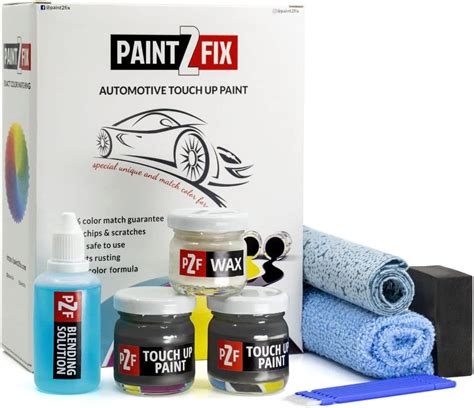Buy PAINT2FIX Touch Up Paint for Toyota - Magnetic Gray 1G3 | Ash Grey ...