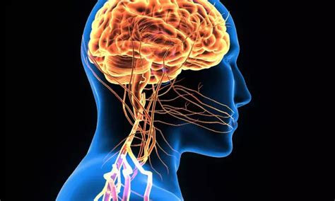 Noninvasive vagus nerve stimulation promising for treating postural ...