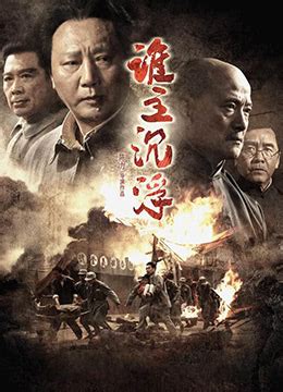 《谁主沉浮》2009年中国大陆战争电影在线观看_蛋蛋赞影院