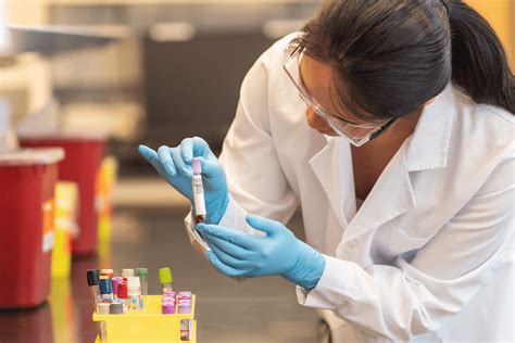 Why Should Women Get a DHEA Blood Test While Trying To Conceive?