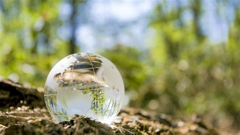 Image result for To Help Solve Global Problems Look to Developing Countries