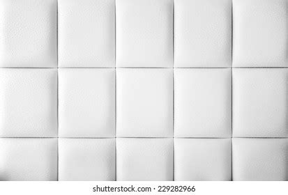 Image result for Daily Life Facts