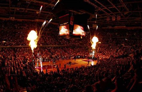 Crowned Sportsfield 的图像结果