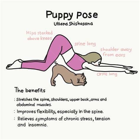 Illustrated Vector Cartoon Of The Puppy Yoga Pose With Its Health ...