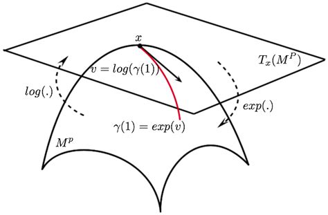 Image result for Mapping Rule for Exponential Functions
