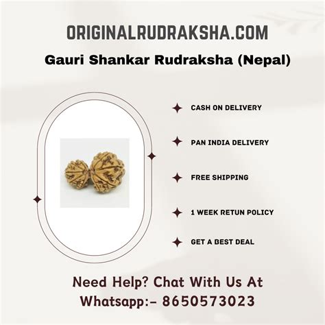 Gauri Shankar Rudraksha: Benefits, Price | Hare Krishna Mart – Original ...