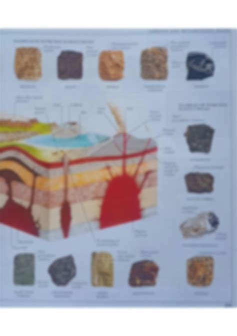 Earth Rock 的图像结果